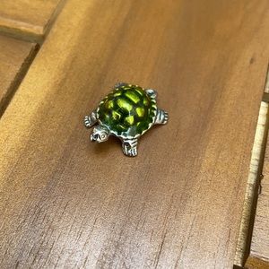 Turtle Charm